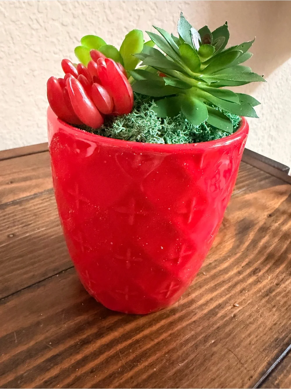 Red Ceramic Succulent Planter
